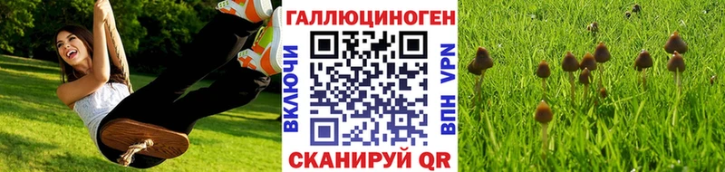 Псилоцибиновые грибы Magic Shrooms  где можно купить   Богданович 